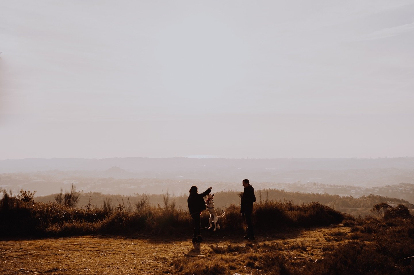 two people playing with the dog