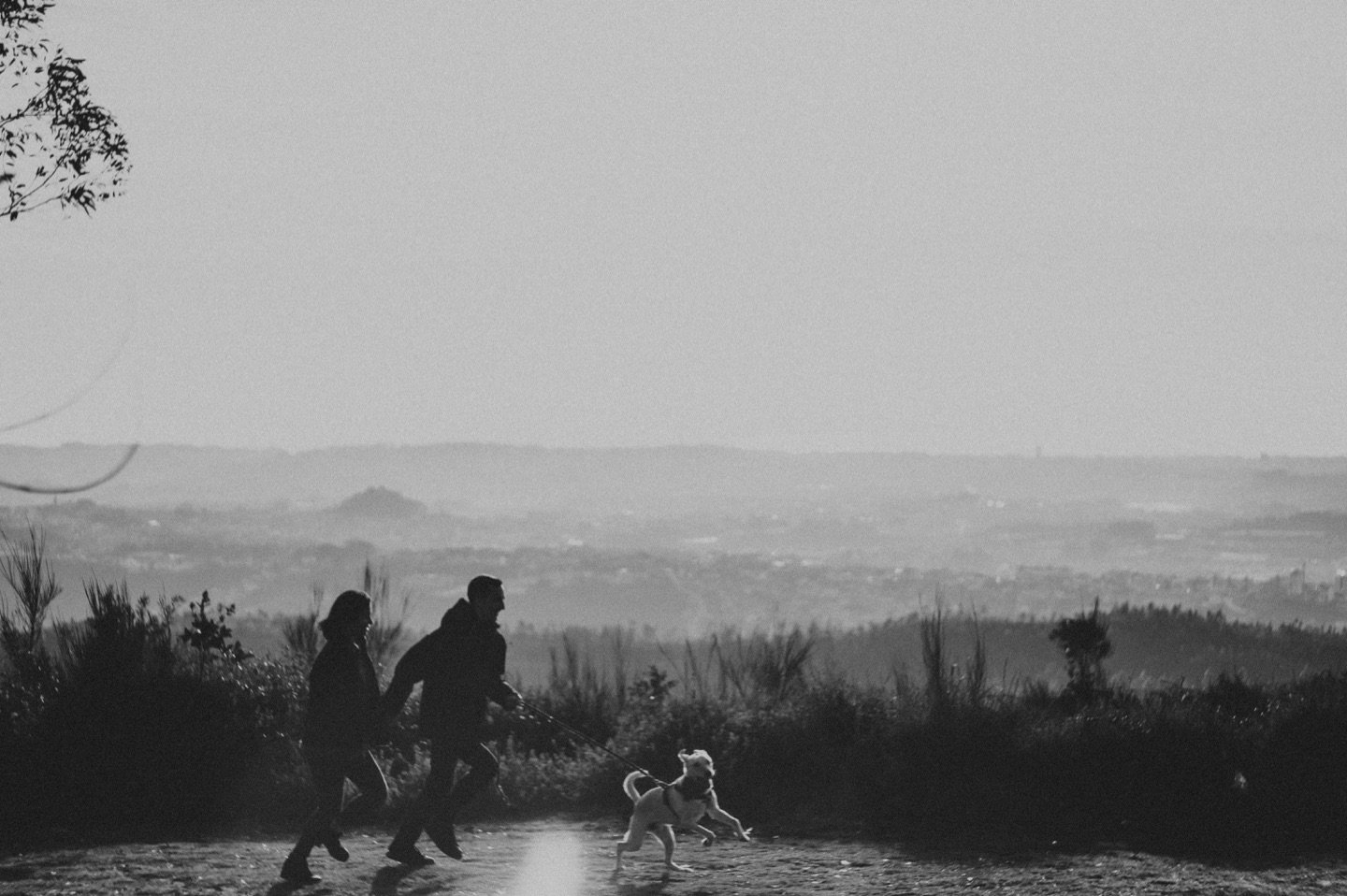 two people playing with the dog